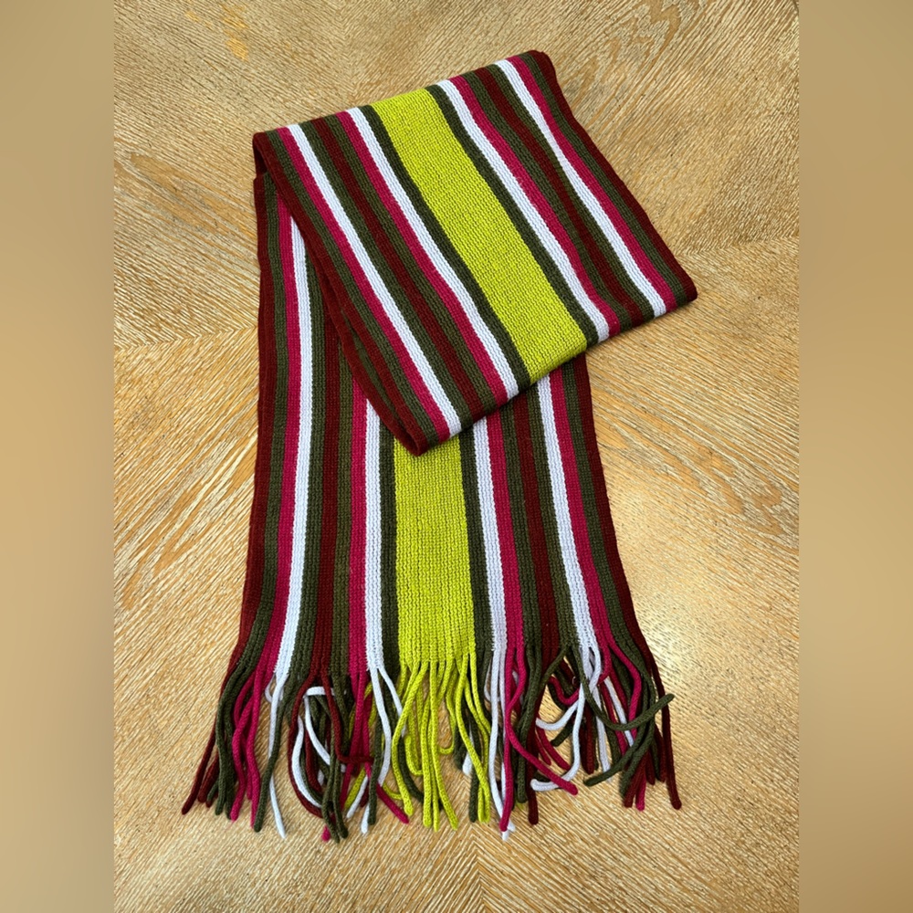 Rectangular Scarf Multi Color Stripe Fringed Ends… - image 2
